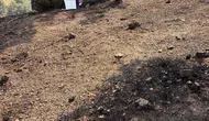 Spil Dağı'nda çıkan yangın söndürüldü