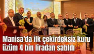 Manisa'da ilk çekirdeksiz kuru üzüm 4 bin liradan satıldı