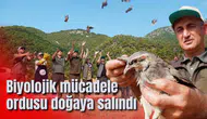 Biyolojik mücadele ordusu doğaya salındı