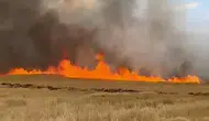Yangında buğday tarlası zarar gördü