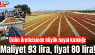 Üzüm üreticisinde büyük hayal kırıklığı: Maliyet 93 lira, fiyat 80 lira!