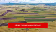 Köyde tarlası olanlar dikkat