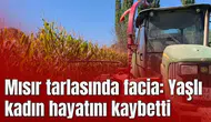 Mısır tarlasında facia: Yaşlı kadın hayatını kaybetti
