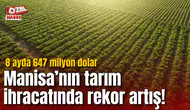 Manisa’nın tarım ihracatında rekor artış! 8 ayda 647 milyon dolar