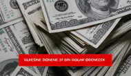 Ülkesine dönene 37 bin dolar ödenecek