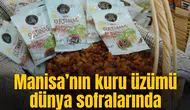 Manisa’nın kuru üzümü dünya sofralarında