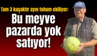 Tam 3 kuşaktır aynı tohum ekiliyor: Bu meyve pazarda yok satıyor!