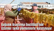 Manisa Bağcılık Araştırma Enstitüsü Müdürlüğünde üzümler farklı yöntemlerle kurutuluyor