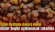 Üzüm fiyatında Ankara kulisi: Gözler bugün açıklanacak rakamda