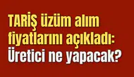 TARİŞ kuru üzüm alım fiyatlarını açıkladı