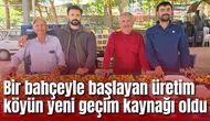 Bir bahçeyle başlayan üretim köyün yeni geçim kaynağı oldu
