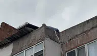 Amerikalı genç kadın yürekleri ağza getirdi