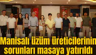 Manisalı üzüm üreticilerinin sorunları masaya yatırıldı