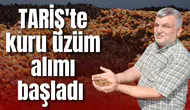 TARİŞ'te kuru üzüm alımı başladı