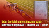 Üzüm üreticisi maliyet hesabını yaptı: Metrekare başına 40 TL masraf, 35 TL gelir