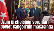 Üzüm üreticisinin sorunları Devlet Bahçeli’nin masasında