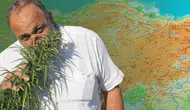 Türkiye'de o illerde kenevir yetiştiriciliğine izin verildi