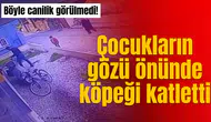 Böyle canilik görülmedi! Çocukların gözü önünde köpeği katletti