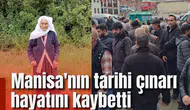 Manisa'nın tarihi çınarı hayatını kaybetti