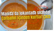 Manisa’da lokantada skandal: Çorbanın içinden kurtlar çıktı