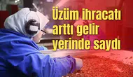 Üzüm ihracatı arttı gelir yerinde saydı