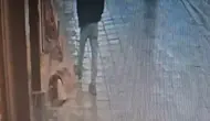 Uyuyan köpek, kendisine tekme atan adamı ısırdı