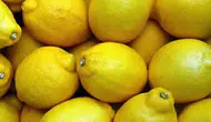 Limonlar Neden Hızla Buruşuyor? Saklarken Yapılan Bu Hatalara Dikkat