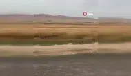 Mardin'de facia: 4'ü çocuk 6 ölü