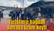 Turistlere bağdan sofraya üzüm keyfi