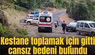 Kestane toplamak için gitti cansız bedeni bulundu