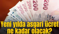 Yeni yılda asgari ücret ne kadar olacak?