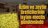 Üzüm ve zeytin üreticilerinin isyanı meclis gündeminde