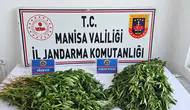 Manisa’da uyuşturucuya darbe: Kenevir ve binlerce hap ele geçirildi