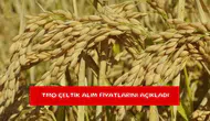 TMO çeltik alım fiyatlarını açıkladı