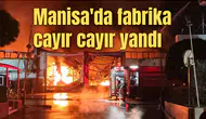 Manisa'da fabrika cayır cayır yandı