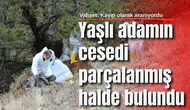 Vahşet: Yaşlı adamın cesedi parçalanmış halde bulundu