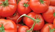 Türkiye'nin AB tescilli domatesi en iyi domatesler listesine girdi