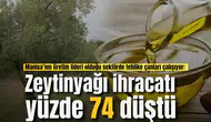 Manisa’nın üretim lideri olduğu sektörde tehlike çanları çalışıyor: Zeytinyağı ihracatı yüzde 74 düştü