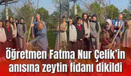 Öğretmen Fatma Nur Çelik’in anısına zeytin fidanı dikildi