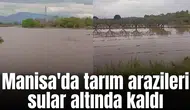 Manisa'da tarım arazileri sular altında kaldı
