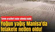 Yoğun yağış Manisa'da felakete neden oldu! Tarım arazileri sular altında kaldı