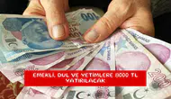 Emekli, dul ve yetimlere 8000 TL yatırılacak