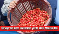 Türkiye’nin kiraz üretiminin yüzde 20’si Manisa’dan