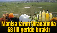 Manisa tarım ihracatında 58 illi geride bıraktı