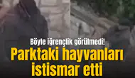 Böyle iğrençlik görülmedi! Parktaki hayvanları istismar etti