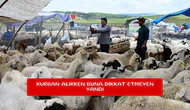 Kurban alırken buna dikkat etmeyen yandı