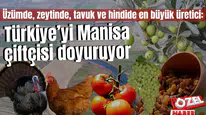 Üzümde, zeytinde, tavuk ve hindide en büyük üretici: Türkiye’yi Manisa çiftçisi doyuruyor