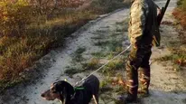 Bu sene Türkiye'de avlanmak yasak!