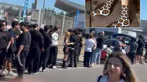 Çorap için 2,5 kilometrelik kuyruk oluşturdular