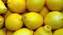 Limonlar Neden Hızla Buruşuyor? Saklarken Yapılan Bu Hatalara Dikkat